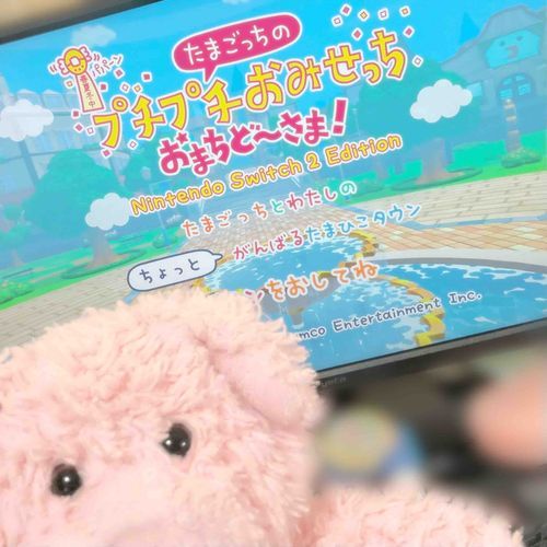 おみせやさんをはじめるぶぅ！