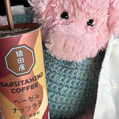 ちゃちゃんのさいきんのおきにいりぶぅ。
ナッツのこうばしさとあまめのコーヒーがおいしいぶぅ🌰☕️🥛