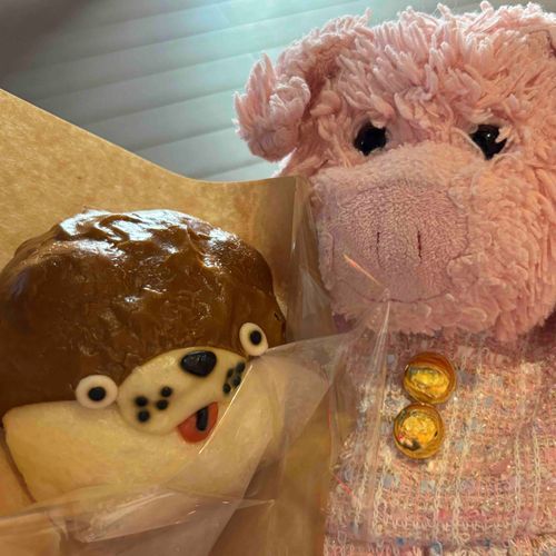 ぶ…にらめっこがじょうずなカワウソさんだぶぅ…