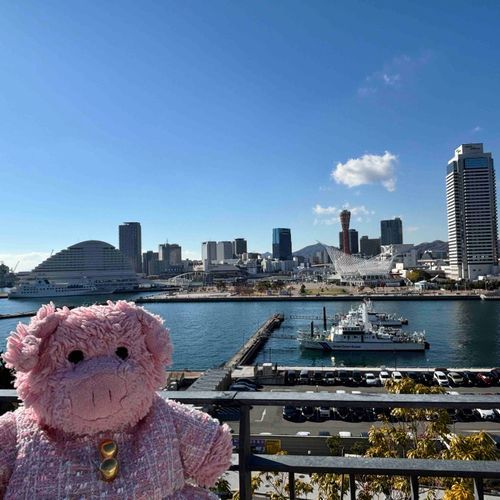 きのうのしゃしん、とうこうしたあとにとってもガビガビしてびっくりしたぶぅ。
かくだいしすぎるのもダメぶぅね…。
きょうは、すいぞくかんいったときにお外でとったしゃしんぶぅ！
いいおてんきだったぶぅ〜☀️
