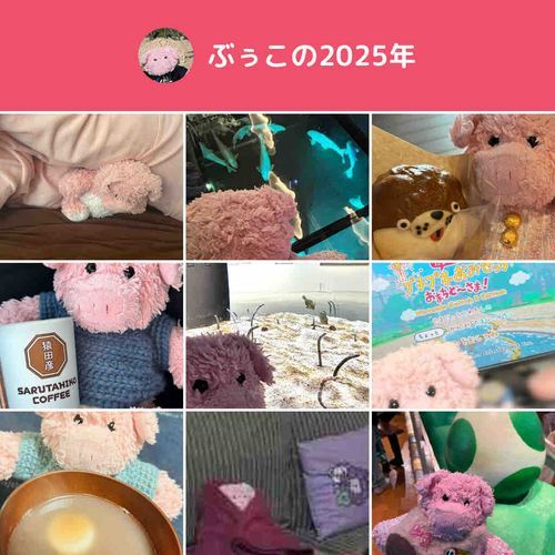 2025年のふりかえりぶぅ！
いちねんあっというまでびっくりだぶぅ…
ことしもおせわになりましたぶぅ！
よいおとしをおむかえしてほしいぶぅ〜🌅