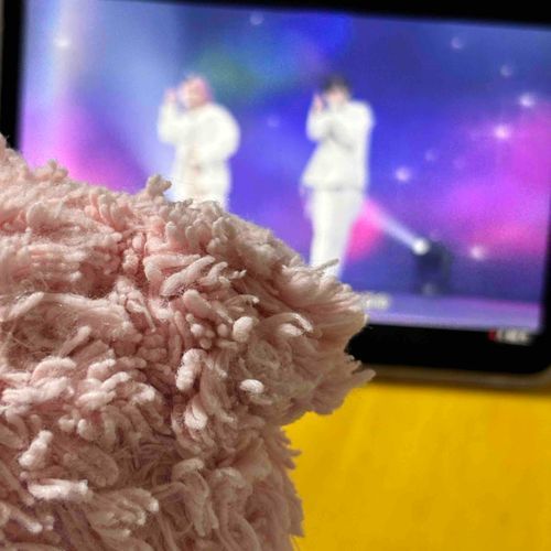あけましておめでとだぶぅ！
ちゃちゃんがもうおしごとだから、お正月なことできてないぶぅ…
けど、おおみそかは年末こうれいライブ見たぶぅ！たのしかったぶぅ〜！