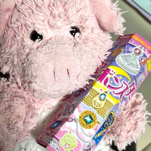セボンスターもらったぶぅ〜！！あかいきらきらだったぶぅ！！！