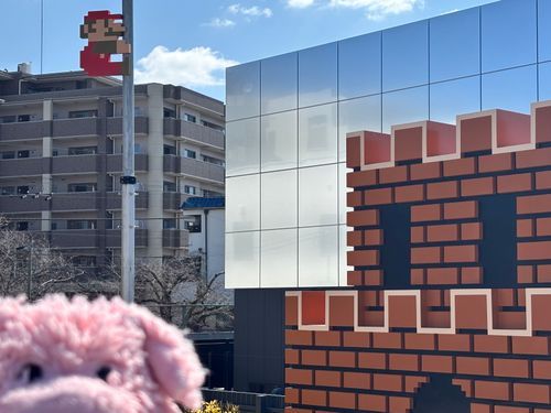ひさしぶりにおでかけしたぶぅ〜！！
いそいでとったからなんだかしっぱいしちゃったぶぅね