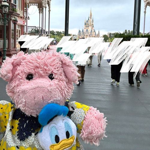 はじめてのばしょにいってきたぶぅ！！
たのしかったぶぅ〜🏰✨