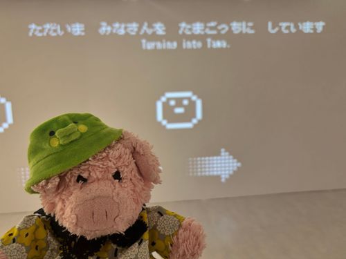 たまごっちになってきたぶぅ…
きんちょうしたぶぅ……