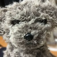 ほこ