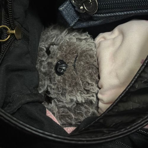 ほこ、旅行についてくって言ってきかないから連れてくよ。でもずっとカバンの中だからね。