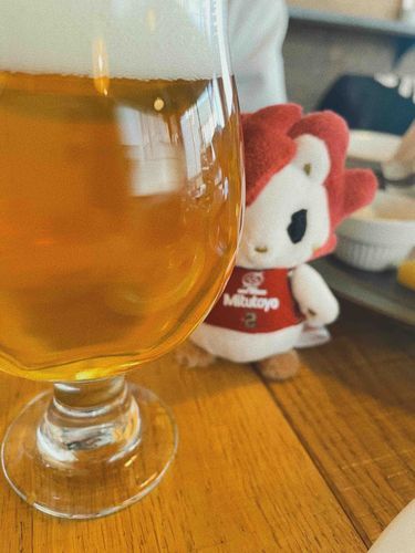 あなたは..ビール観察委員⁉️🍺
※観察委員は、観察のみを行います🫥