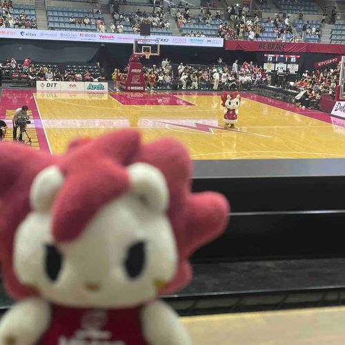 ロウル、ロウルだよ
25-26も沢山応援しようね😼🤝