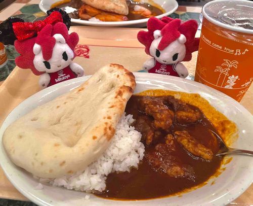 ナンとごはんどっちが好き？👳🍛