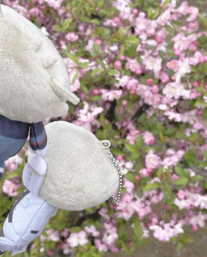 ほ〜らエラエラちゃんその辺に生えてた謎の花だよ〜