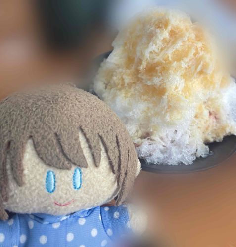 ふじくん！今年初かき氷だよ〜〜！🍧