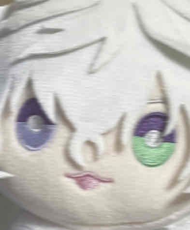 かげつさんも無事にうちの子になりました💁‍♀️
🥷ﾅﾝﾔｧ！