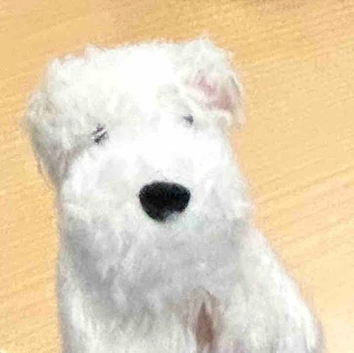 がんばれー！じぶん