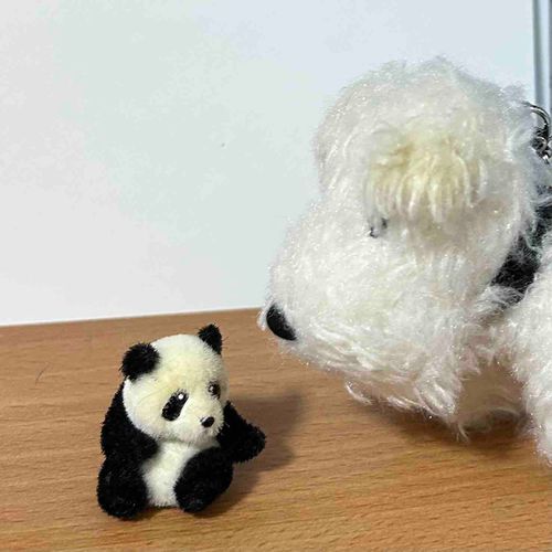 🐼🎶🎶🐶