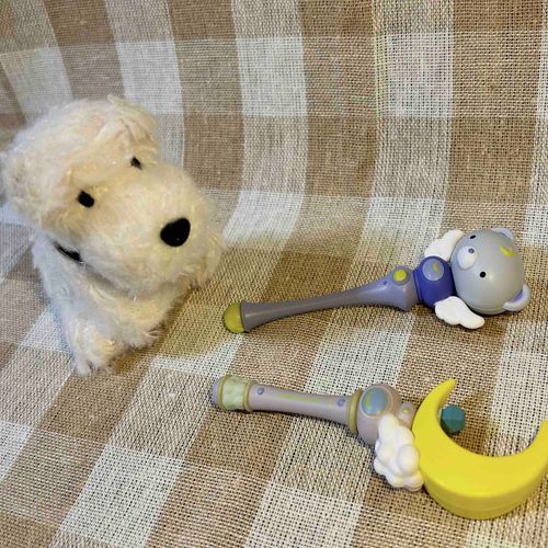 🐶💦💦🌙🧸︎ ︎︎︎︎︎