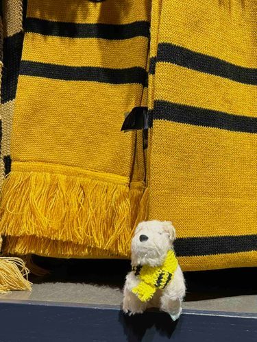 はっふるぱふ🧣💛