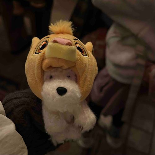 でぃずに〜🦁🐶