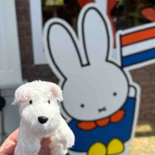 ミッフィーさんに会いに来たよ(・ⅹ・）