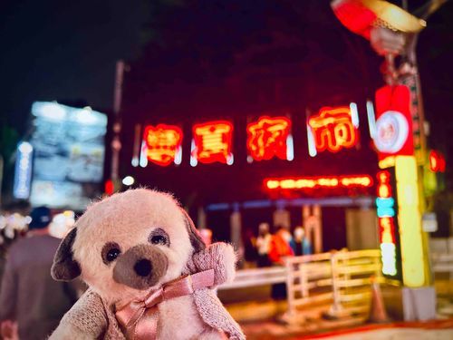 台湾、行きたいわん