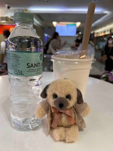 ふう。空港でひと休み