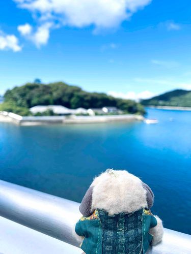 海のにおいがよいですな〜