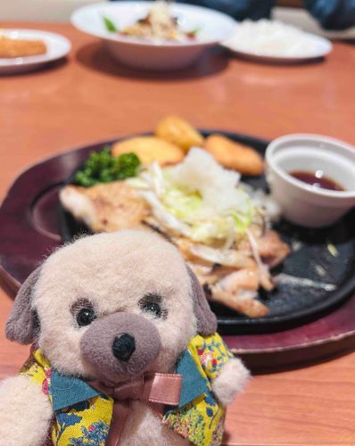 まるおです。自撮り風です。
デニーズの チキンステーキは、身が大きくてしっとり、でもぷりっとした焼き加減がすごくおいしいです。
ソースがしみ込んだお芋は、かりかりの部分とほくほくしている部分と、どちらもたのしめます。突然の食れぽ。