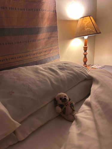 cozyってやつ