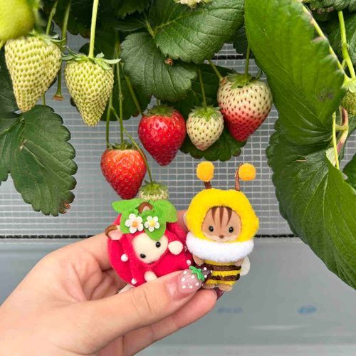 あまあま