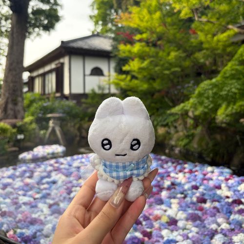 わあああああああああ！！