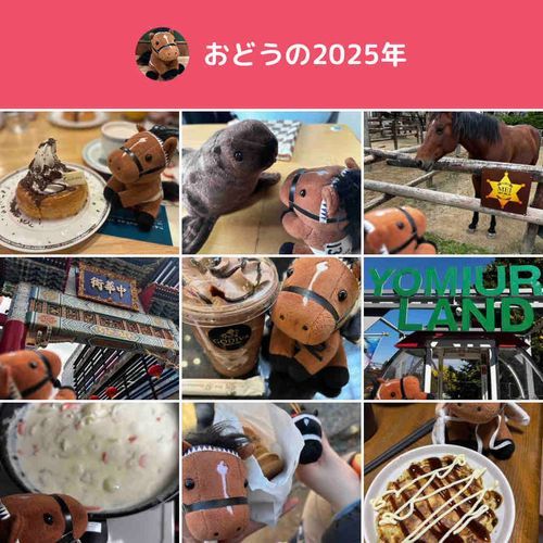おどう、今年はなんだか過ぎるのが早かったね。色んなところ行けて楽しかったね、来年はどこに行こうかな？
来年もよろしくお願いします！良いお年を〜