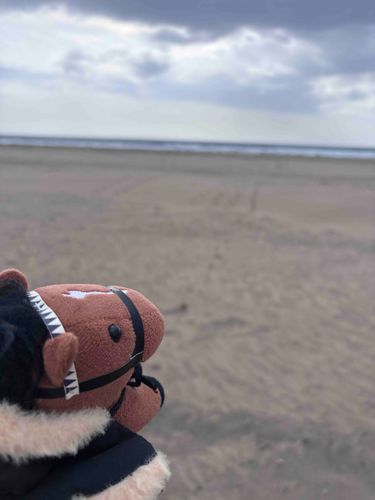 おどう、冬の海だよ
どえらい風だね……