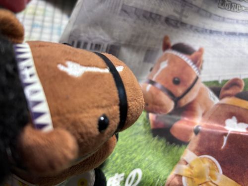 おどう、おどうだよ
一緒にダービーみようね