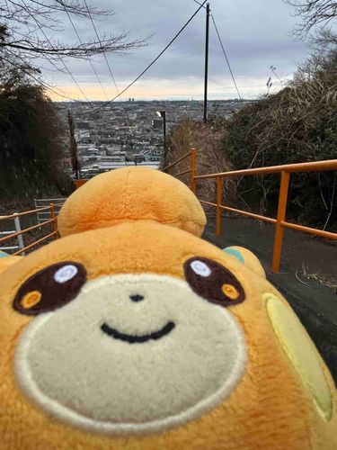 おもちだよ〜
ニンゲン　まちがえてまえのあかうんと　けしちゃったんだって
おわびにたくさんのハッピーターンもらったから　ゆるしてあげたの
また　おもちたちのせいかつみてくれたら　うれしいうれしいなの