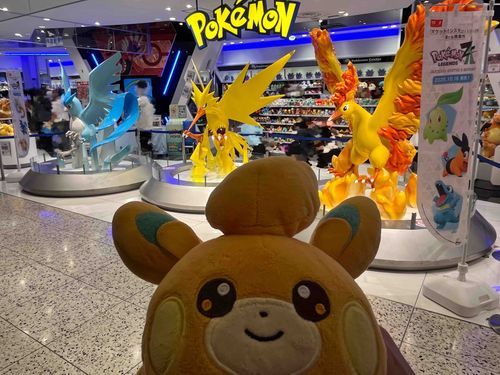 おもちね　じっかのポケセン　いってきたんだ〜