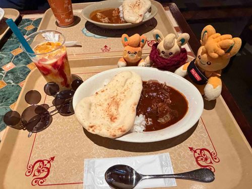 humanといっしょに　ディズニーシーでカレーをたべてきたﾀﾞﾆｴﾙよ