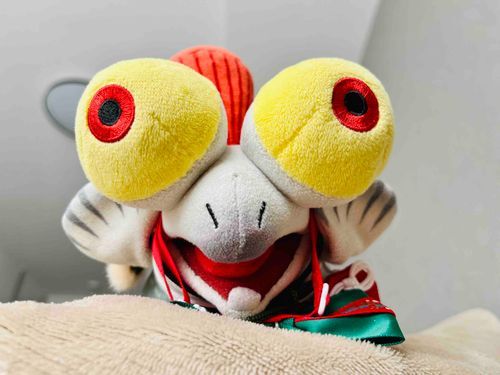 かいぬし　あれから　インフル
なっちゃった！！
でも、だいぶ　げんき　なた！
おやすみ　まだある！