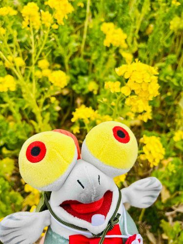 なのはな　いっぱい！
きいろ　ぼくと　おなじいろ！