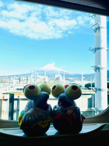 ぎゃっこー　に　なちゃた！
しんかんせん　のって
ふじさん　みえたよ！