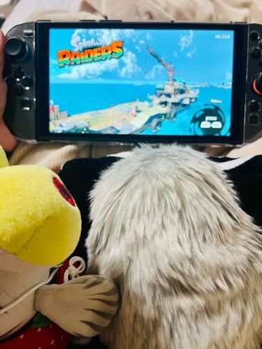さいきん　かいぬしと　ﾊｯﾁﾝと
よなよな　げーむ　がんばってる！
ｼｬｹ かっこいい　よ‼️