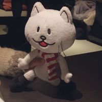 ニコル