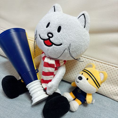 「今日はライブに行けないからバスケ見るって📣ヒゲは大体あらぶるよ」