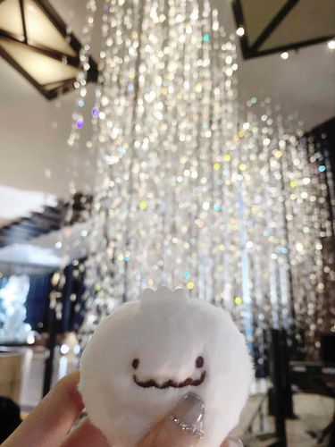 あふぬんと撮るの忘れたから、きらきらと撮ったスミエティ