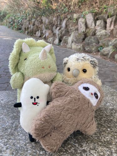 今日はみんなと一緒(*´꒳`*)