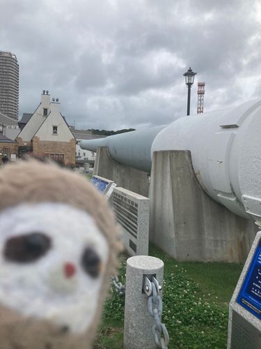戦艦陸奥の主砲だって大きいね(´⊙ω⊙`)