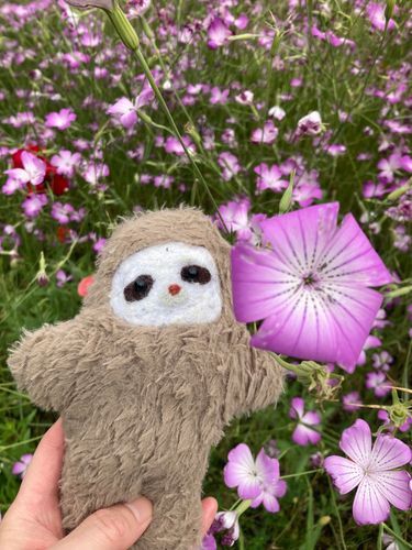 ふわもこ7周年おめでとうฅ⊱︎*•ω•*⊰︎ฅ