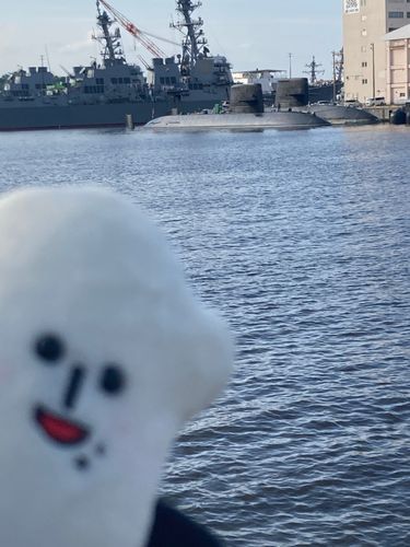 こめすけと海に行って来たよ
風が気持ち良かったね