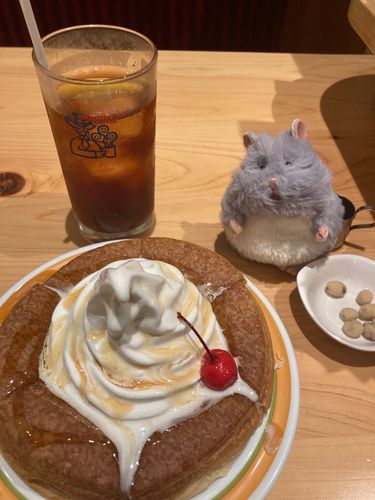 わーいシロノワールだ