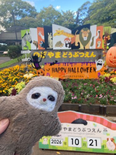 野毛山動物園に来たよいろんな動物さんに会えて嬉しいね